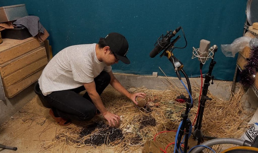 538967444 18152620162386210 2807591778369317307 n